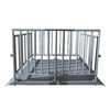 LP7628A Cattle Weighing Scale with Fence and Gate
