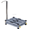 LP7611J Economical Bench Scale