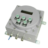 XK3150-Exd-ⅡC Indicator by Flameproof Enclosure