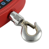 LP7655 Light Duty Electronic Digital Crane Scale 