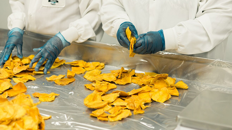 Food Processing Solutions