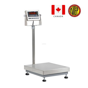 LP7611 Stamping Bench Scale
