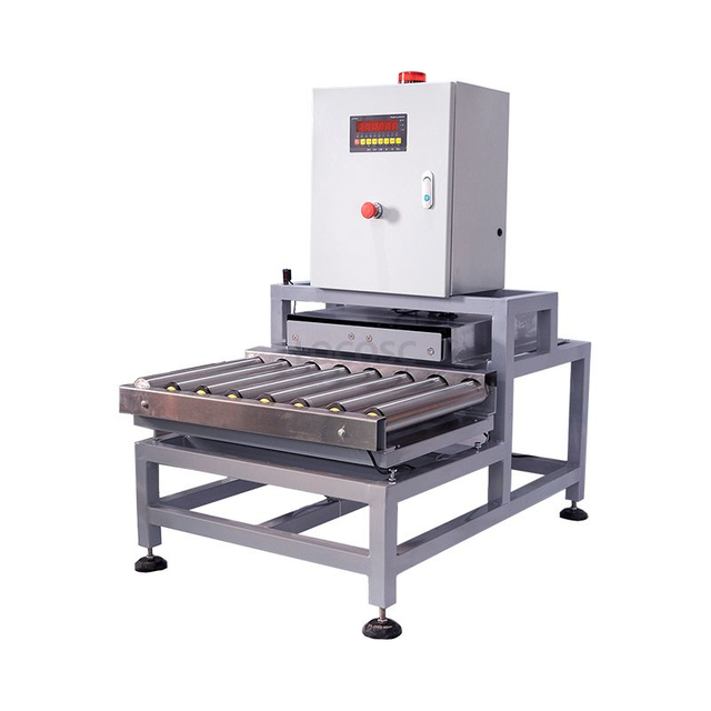 LOCOSC Conveyor Movable Roller Gravity Weighing Platform Scale Bench Scale