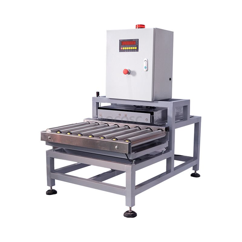 LOCOSC Conveyor Movable Roller Gravity Weighing Platform Scale Bench Scale