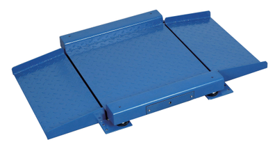 Do You Know The Differences Between Platform Scales and Floor Scales?