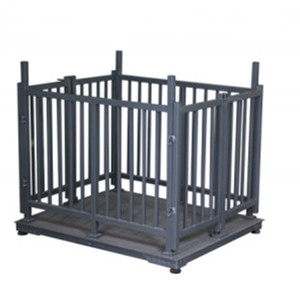 Do you Know the Animal Scales?